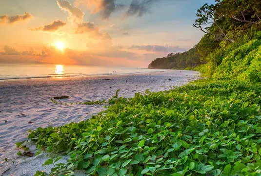 Havelock Island Andaman destination