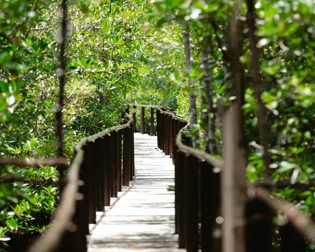 Rangat Andaman destination