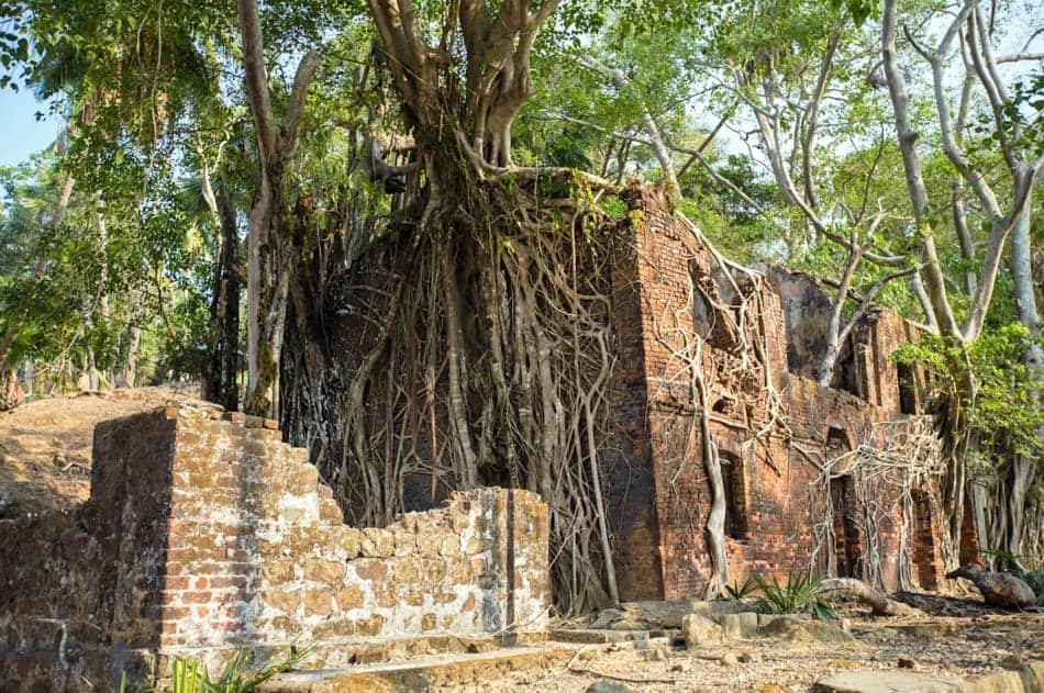 Andaman Islands package gallery